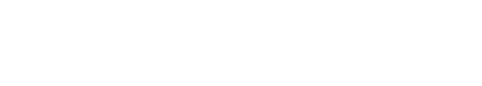 THE MISSION 